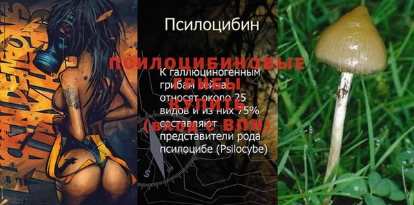 крисы Бутурлиновка