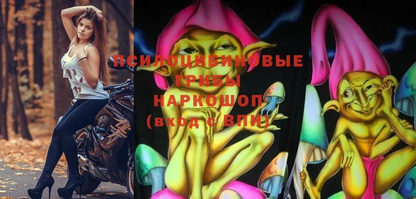тгк Новозыбков
