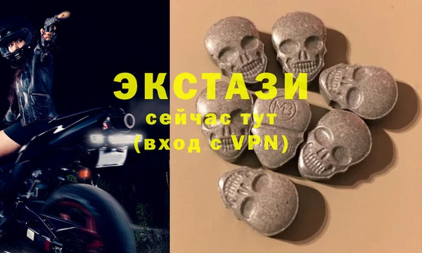 стафф Гусев