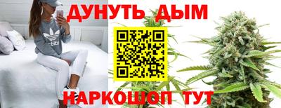 гидра Камышлов