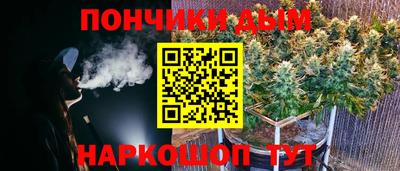 гидра Камышлов