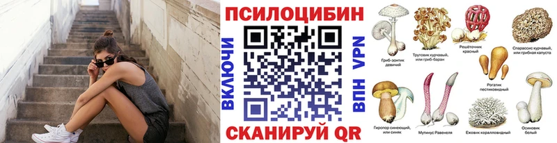 Галлюциногенные грибы Cubensis  где купить наркоту  Менделеевск 