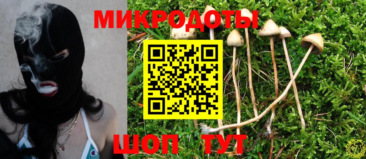 Псилоцибиновые грибы ЛСД Менделеевск